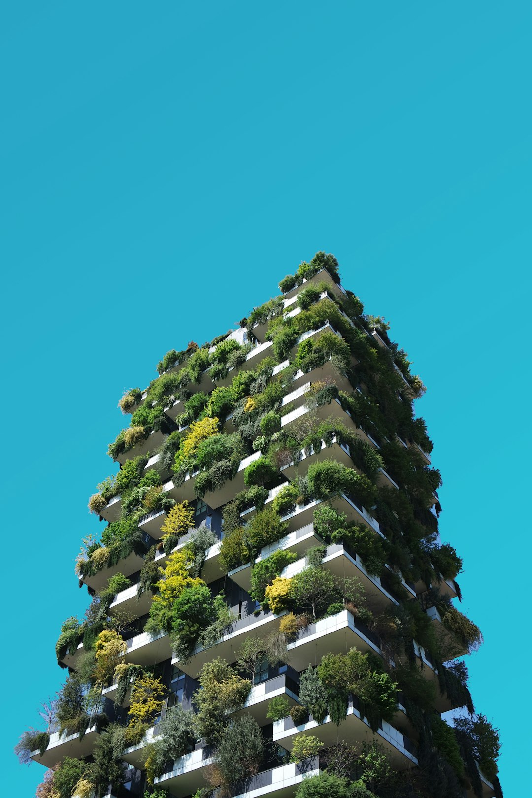 Green Haven Residence